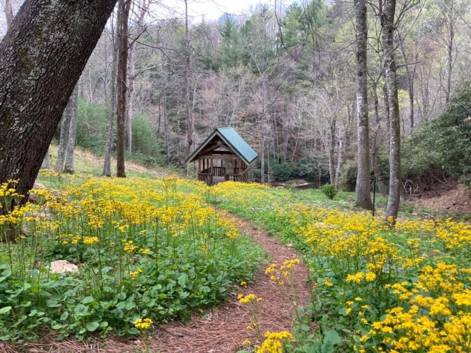 Little River Cabin Спарта Екстер'єр фото